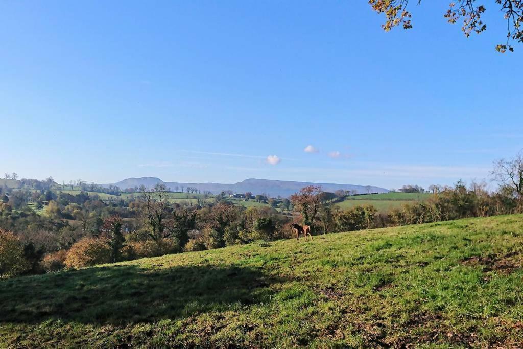 Pensjonat Laraghson House Enniskillen Zewnętrze zdjęcie