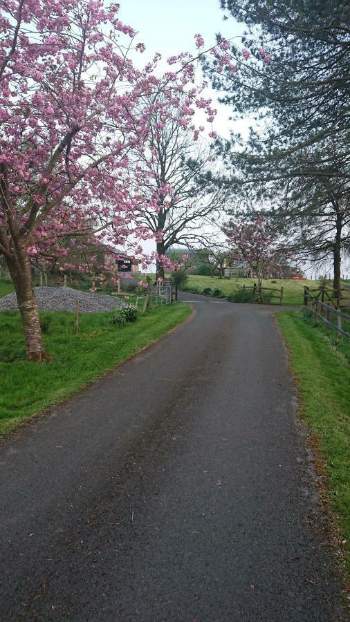Pensjonat Laraghson House Enniskillen Zewnętrze zdjęcie